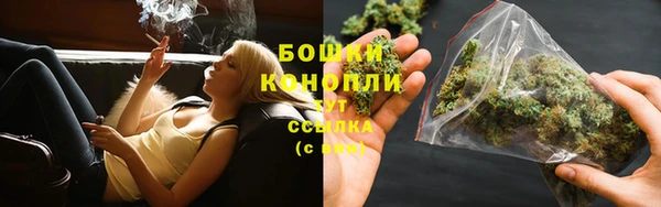 гидра Пересвет