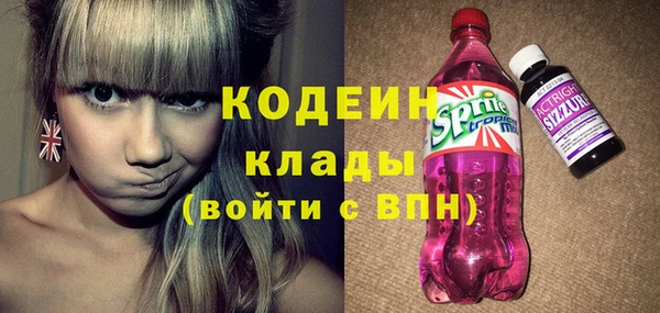 прущий лед Пестово