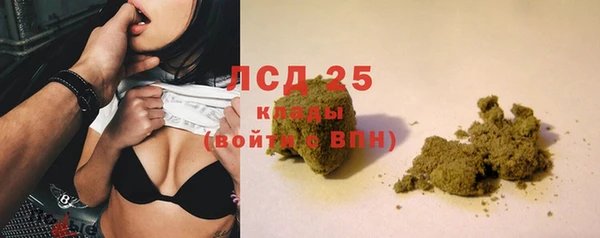 гидра Пересвет