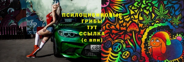 гидра Пересвет