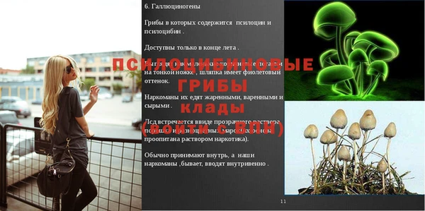 прущий лед Пестово