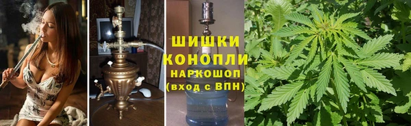 гидра Пересвет